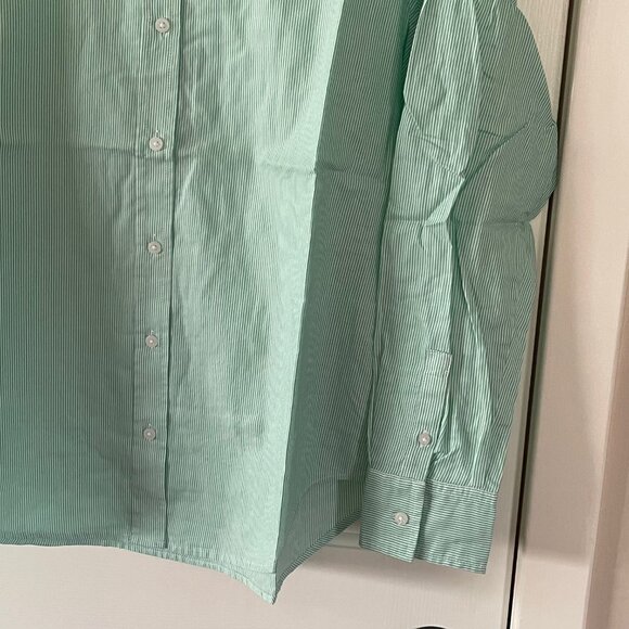 New Everlane Womens Mint Green Oversized Pinstripe Button Down Blouse Size 2 - Picture 9 of 11